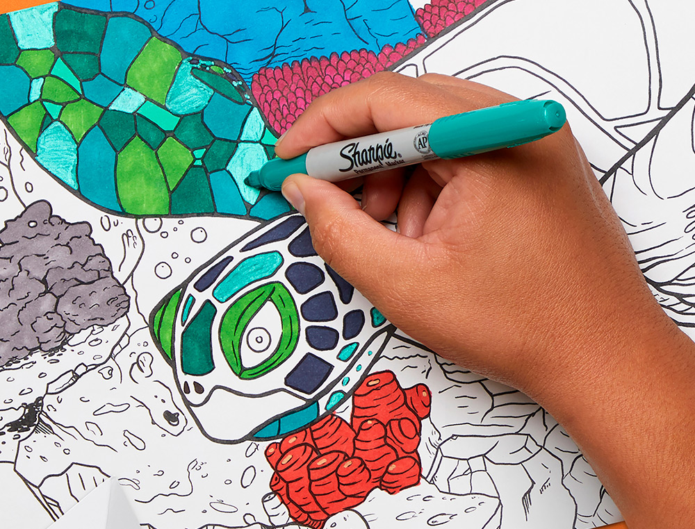 ROTULADOR SHARPIE PERMANENTE FINO BLISTER 12 UNIDADES COLORES SURTIDOS