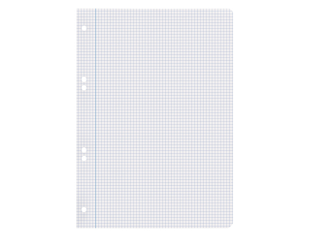 RECAMBIO LIDERPAPEL A5 100 HOJAS 75GR CUADRO 4MM CON MARGEN 6 TALADROS