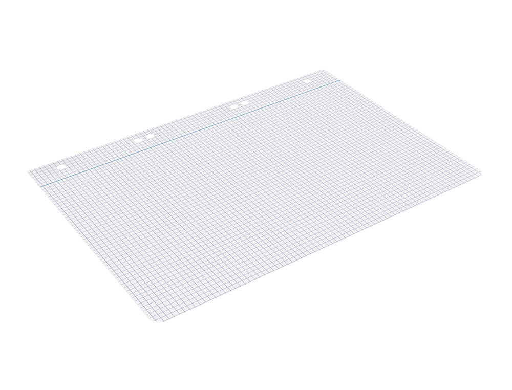 RECAMBIO LIDERPAPEL A5 100 HOJAS 75GR CUADRO 4MM CON MARGEN 6 TALADROS