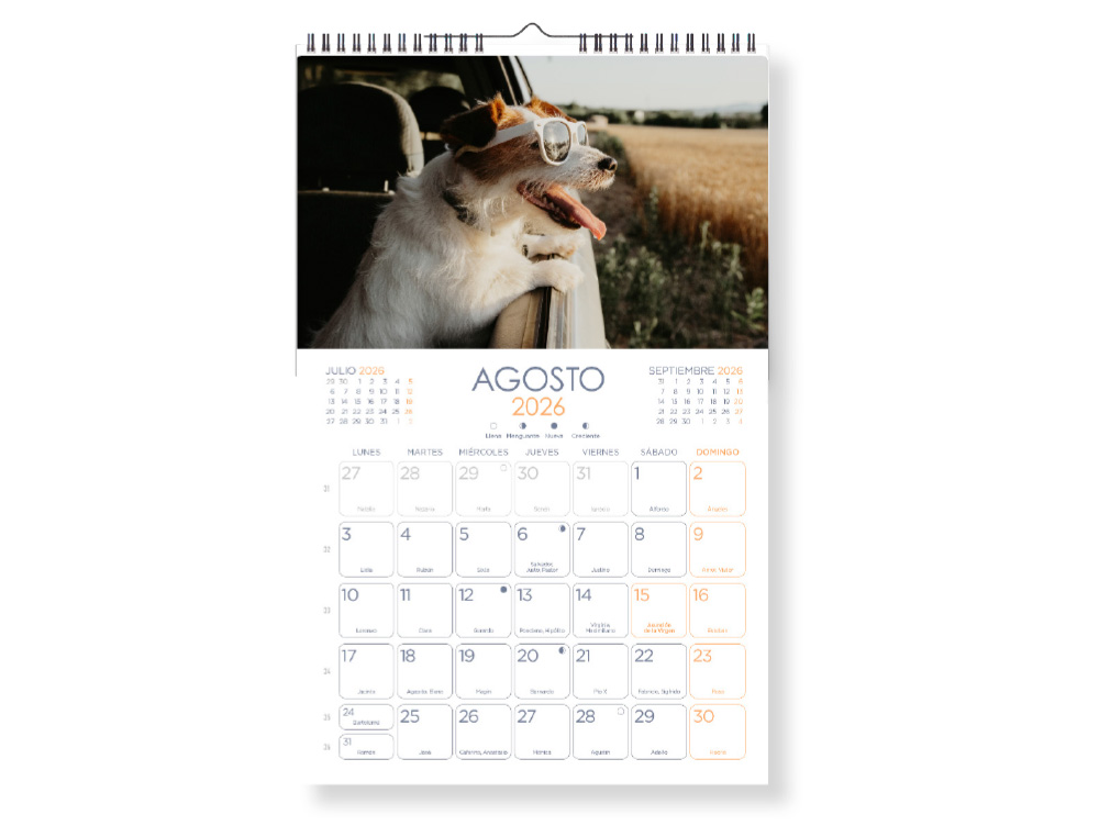 CALENDARIO ESPIRAL PARED LIDERPAPEL IMAGENES PERROS 2026 PARA ESCRIBIR 25X40 CM PAPEL 157 GR