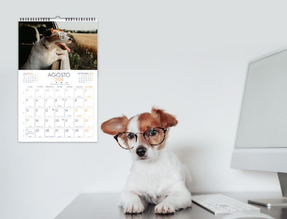 CALENDARIO ESPIRAL PARED LIDERPAPEL IMAGENES PERROS 2026 PARA ESCRIBIR 25X40 CM PAPEL 157 GR