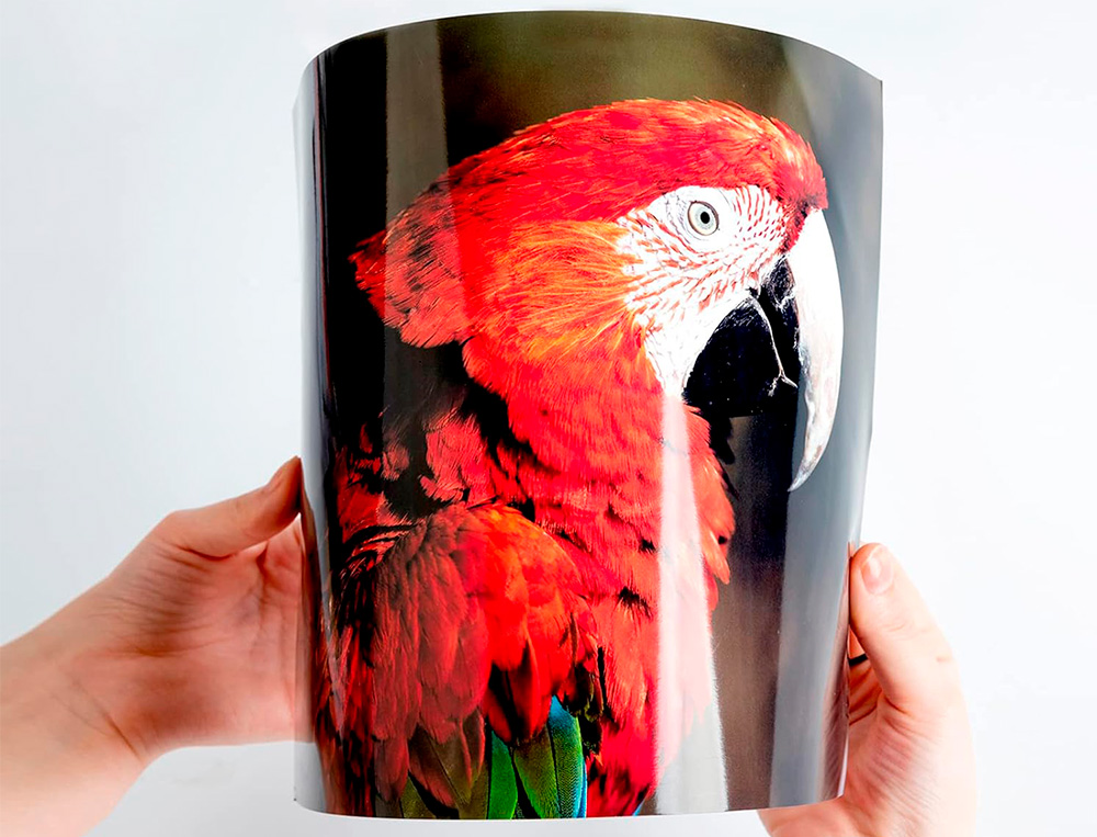 PAPEL Q-CONNECT FOTO GLOSSY KF01103 DIN A4 DIGITAL PHOTO PARA INK-JET BOLSA DE 20 HOJAS DE 180 GR