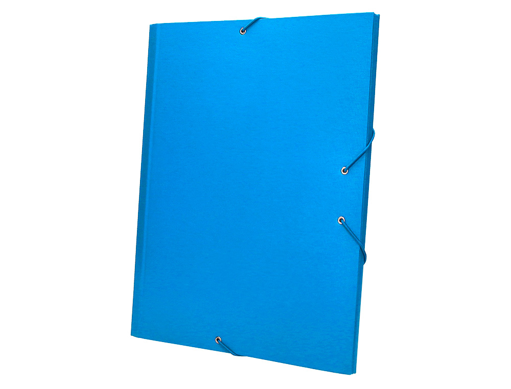 CARPETA CLASIFICADORA LIDERPAPEL 12 DEPARTAMENTOS FOLIO PROLONGADO CARTON FORRADO CELESTE