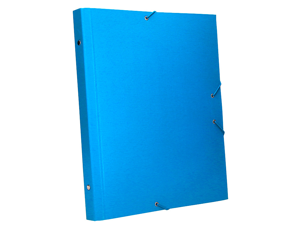 CARPETA CLASIFICADORA LIDERPAPEL 12 DEPARTAMENTOS FOLIO PROLONGADO CARTON FORRADO CELESTE