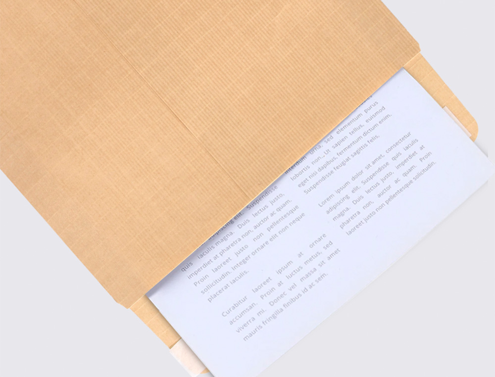 SOBRE LIDERPAPEL BOLSA N.11 KRAFT FOLIO PROLONGADO 250X353MM TIRA DE SILICONA CAJA DE 250 UNIDADES