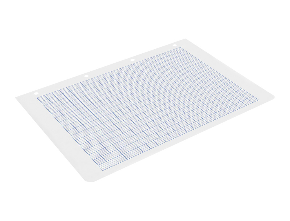 RECAMBIO LIDERPAPEL A4 100 HOJAS 60GR RAYADO Nº 46 4 TALADROS