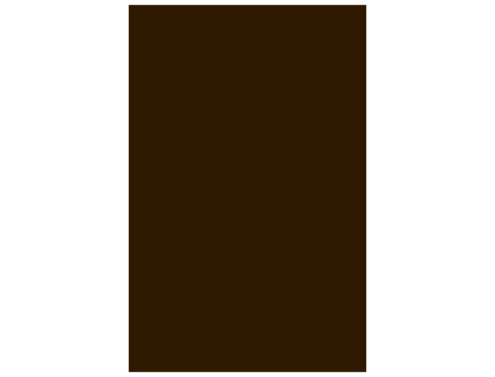 CARTULINA GUARRO DIN A4 MARRON CHOCOLATE 185 GR PAQUETE 50 HOJAS