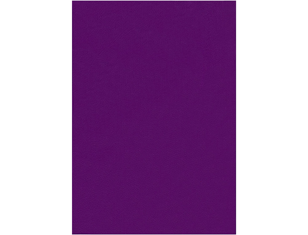 FIELTRO LIDERPAPEL 50X70CM VIOLETA 160G/M2
