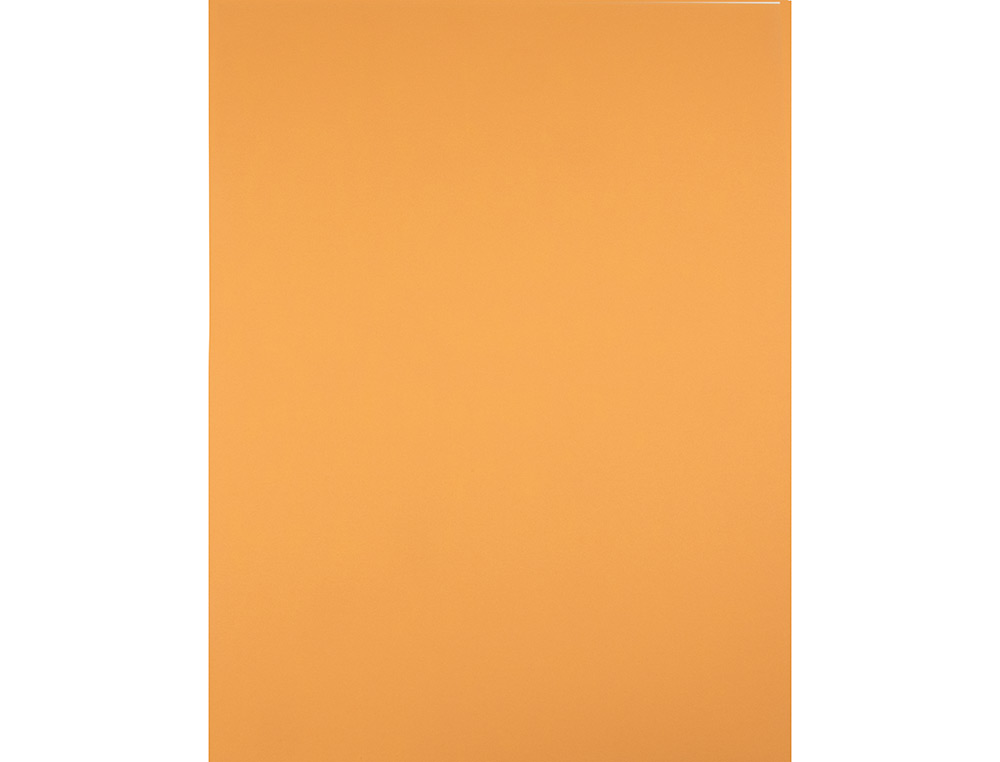 CARTULINA LIDERPAPEL 50X65 CM 180 GR AVELLANA UNIDAD