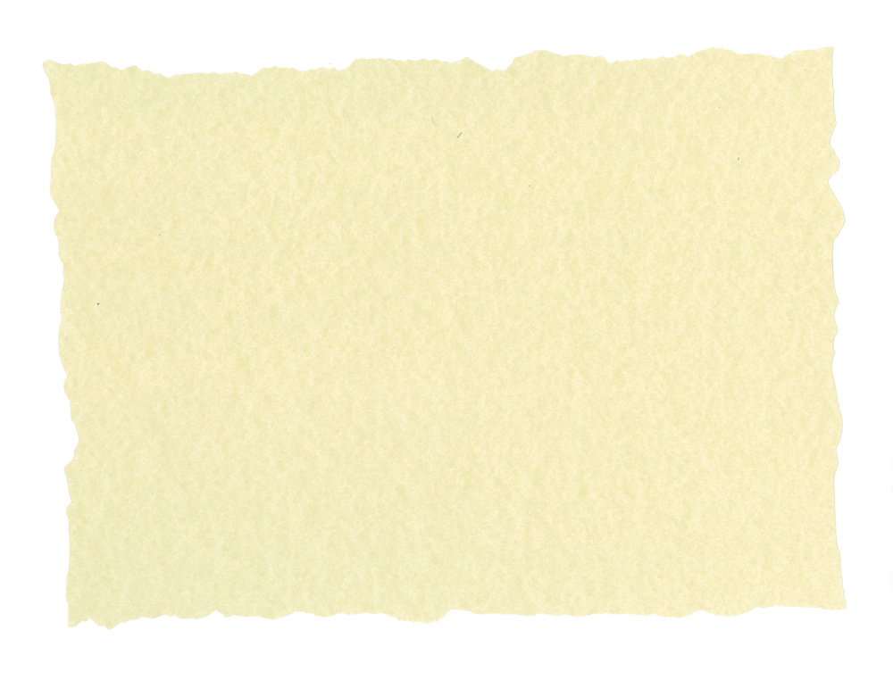 PAPEL PERGAMINO DIN A4 TROQUELADO 125 GR PIEL ELEFANTE COLOR HUESO PAQUETE DE 25 HOJAS